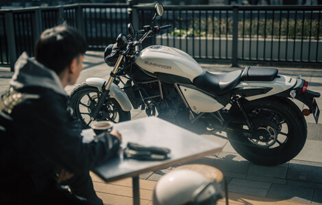 Eliminator SE
