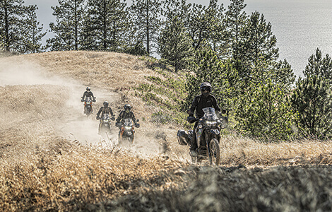 KLR650