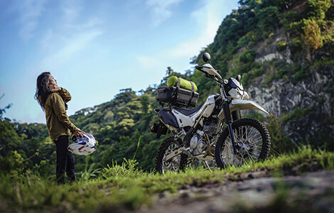 KLX230 SHERPA