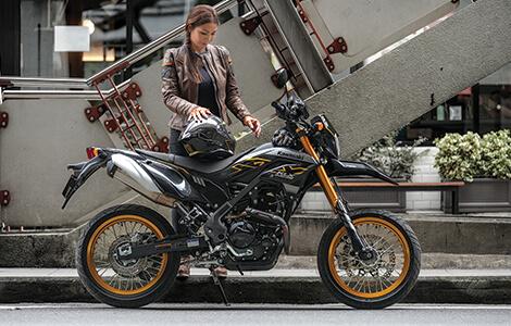 KLX230 SM