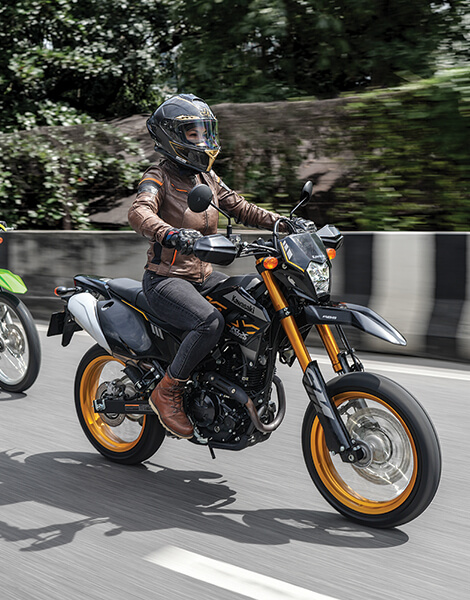 KLX230 SM